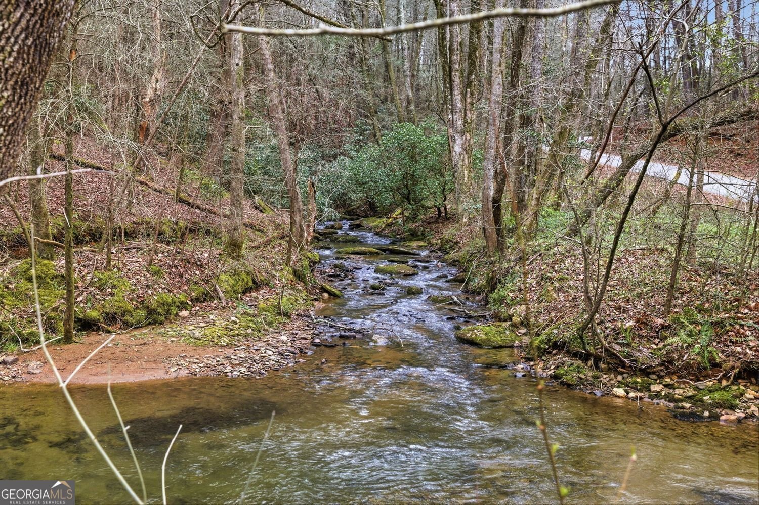 109 Clayton Gooch Road Dahlonega - Photo 40
