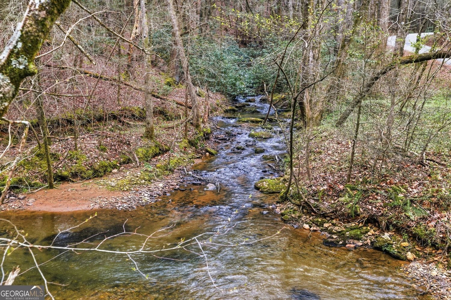 109 Clayton Gooch Road Dahlonega - Photo 41