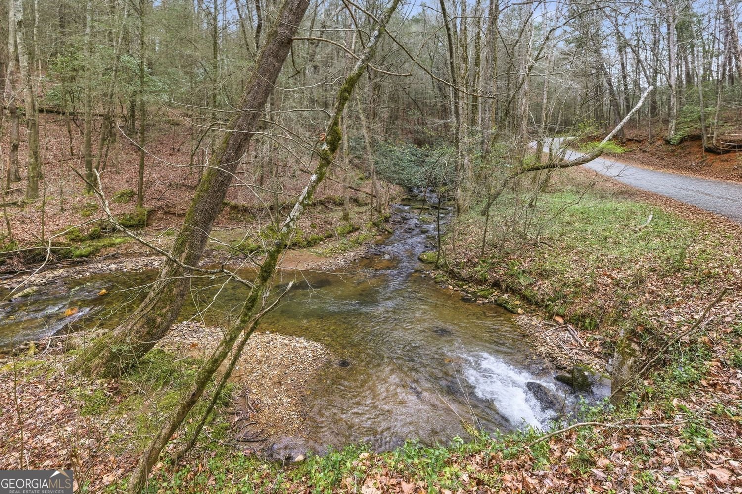 109 Clayton Gooch Road Dahlonega - Photo 42