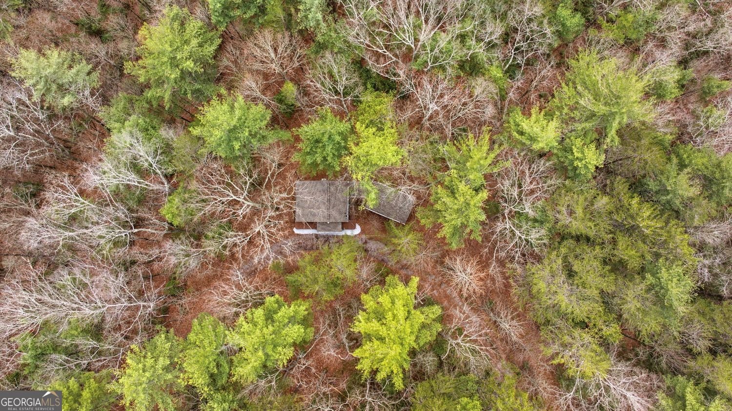 109 Clayton Gooch Road Dahlonega - Photo 44