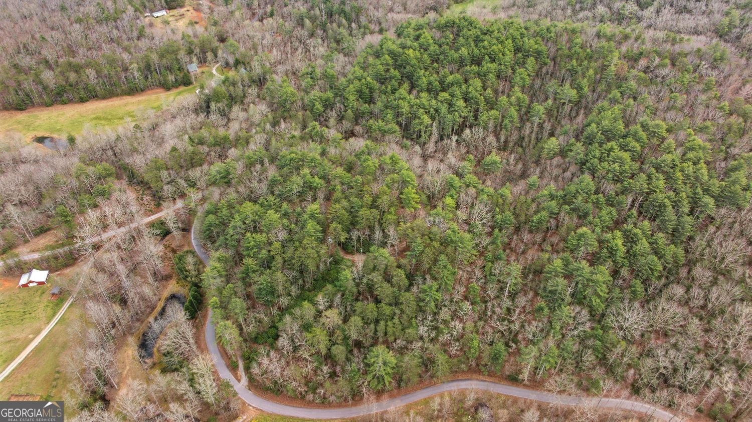 109 Clayton Gooch Road Dahlonega - Photo 49