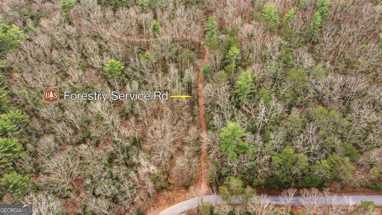 109 Clayton Gooch Road Dahlonega - Photo 62