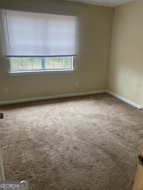 3366 Cook Road Loganville - Photo 38