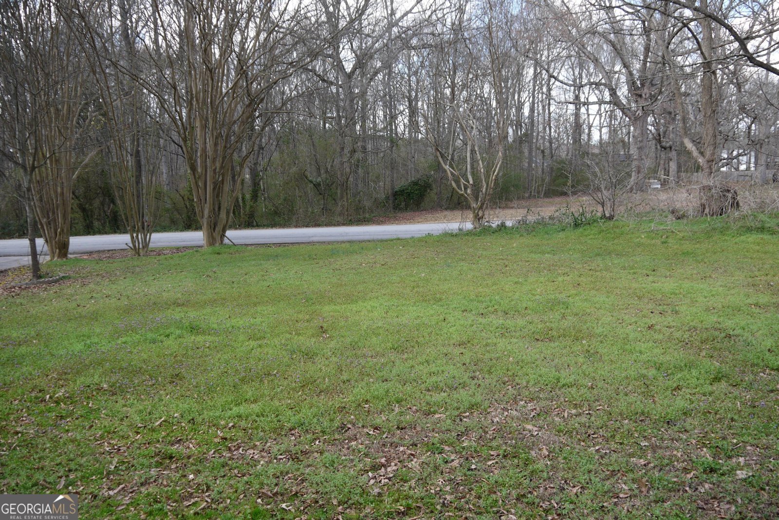 3366 Cook Road Loganville - Photo 45