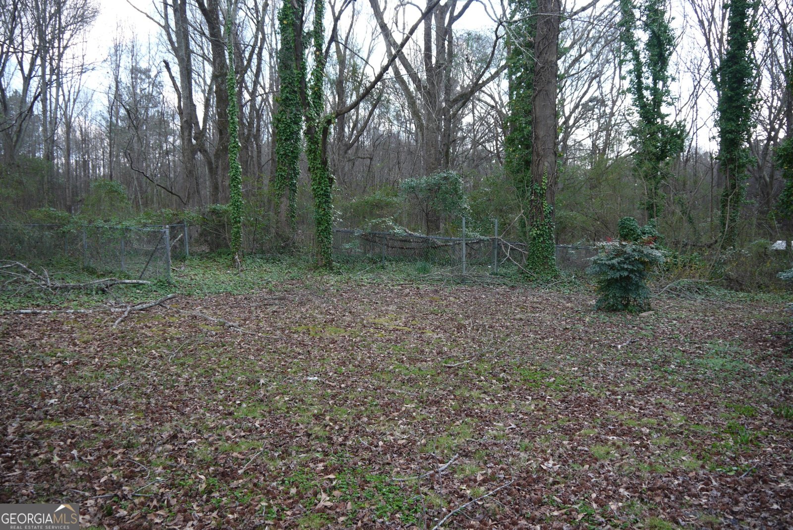 3366 Cook Road Loganville - Photo 46