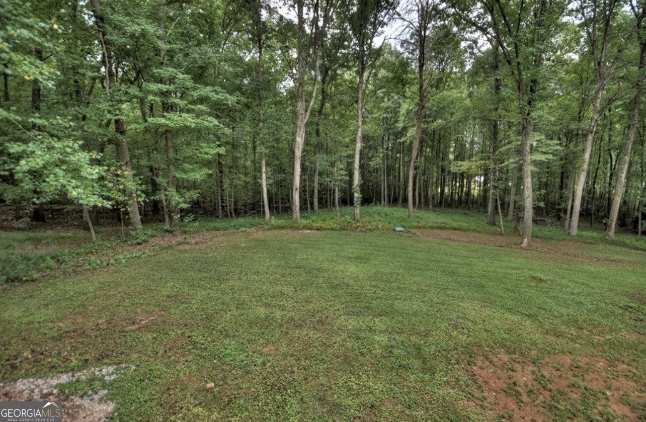 1843 Old Mobile Road McCaysville - Photo 6