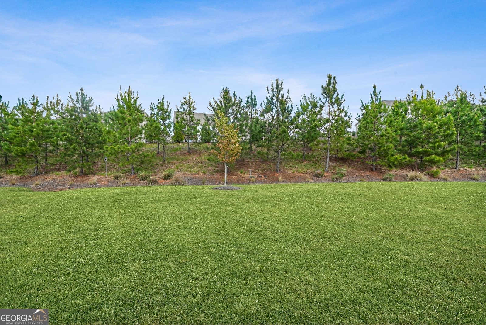 108 Red Maple Drive Peachtree City - Photo 20