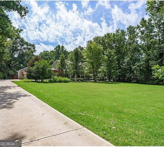 5230 West Shore Drive Conyers - Photo 10