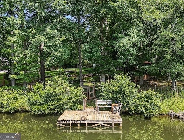 5230 West Shore Drive Conyers - Photo 13