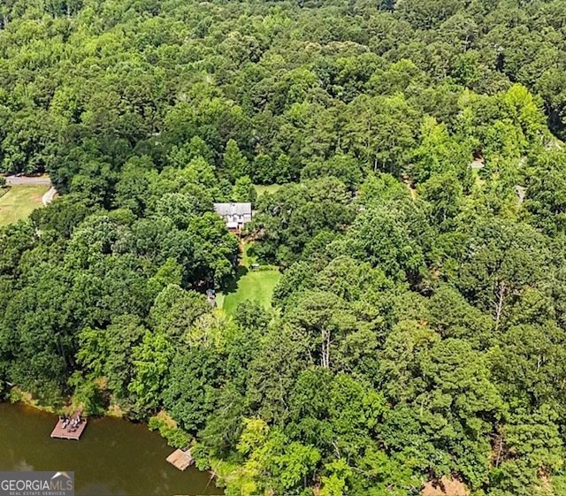 5230 West Shore Drive Conyers - Photo 7