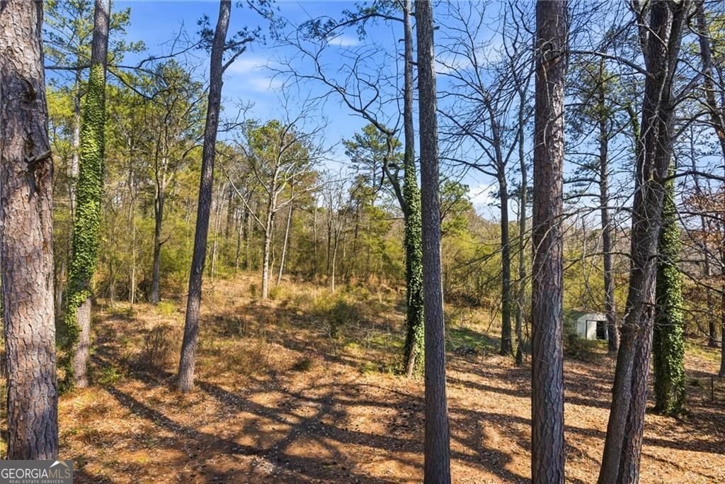 2470 Northbrook Road Snellville - Photo 53