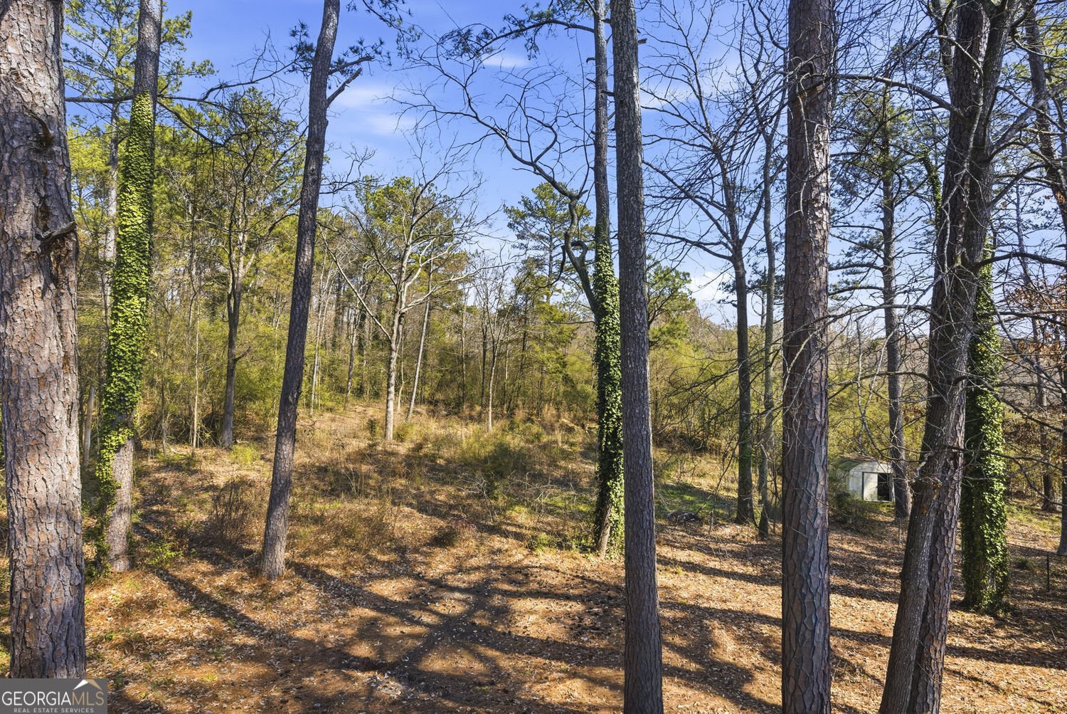 2470 Northbrook Road Snellville - Photo 54