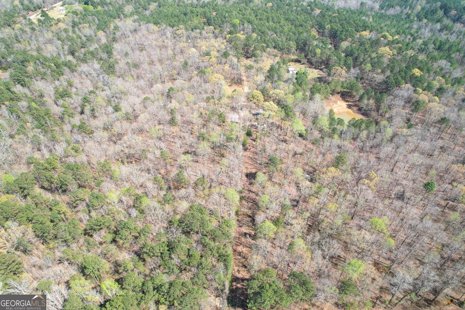 3595 Logtown Road Thomaston - Photo 51