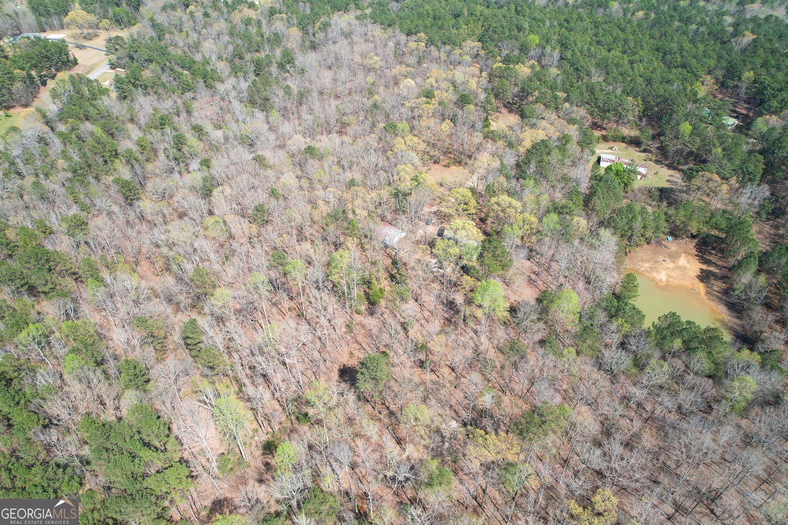 3595 Logtown Road Thomaston - Photo 52