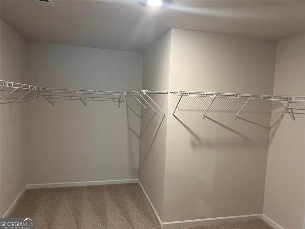 127 Berry Drive Dawsonville - Photo 17