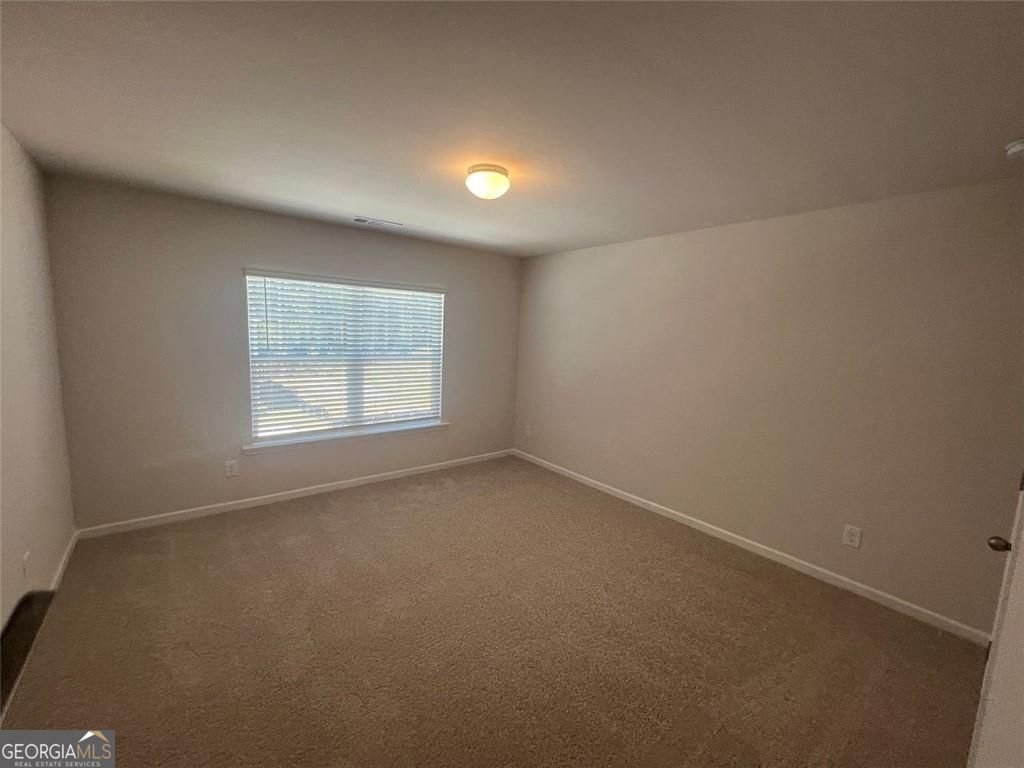 127 Berry Drive Dawsonville - Photo 21