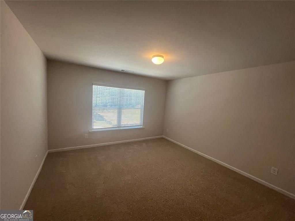 127 Berry Drive Dawsonville - Photo 22