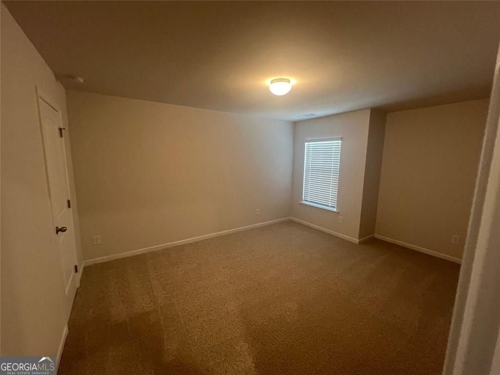 127 Berry Drive Dawsonville - Photo 23