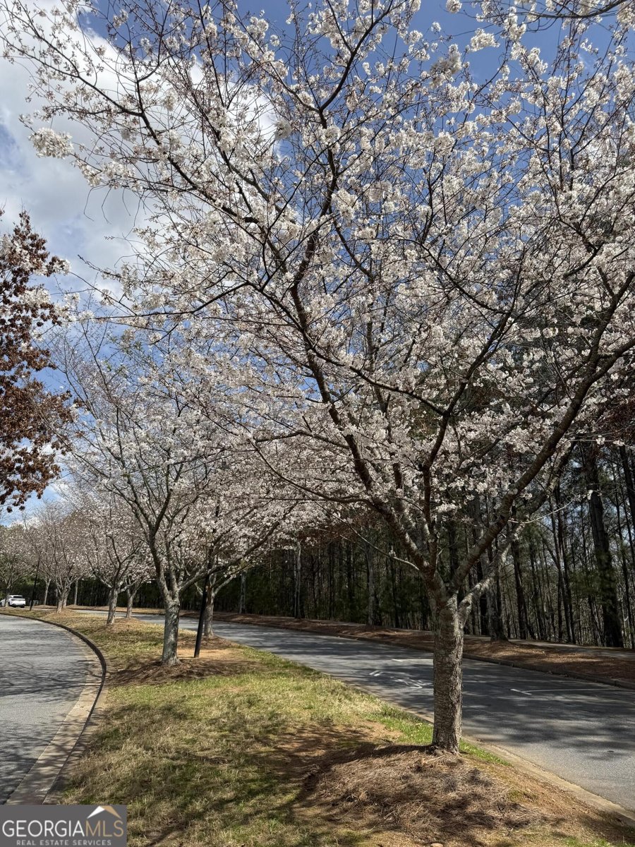1550 Baygreen Road Suwanee - Photo 19