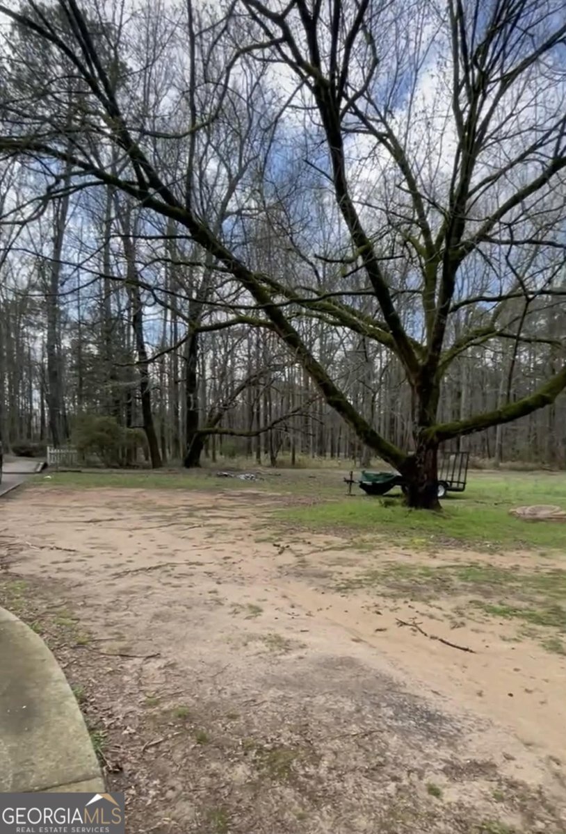 30 Price Drive Locust Grove - Photo 11