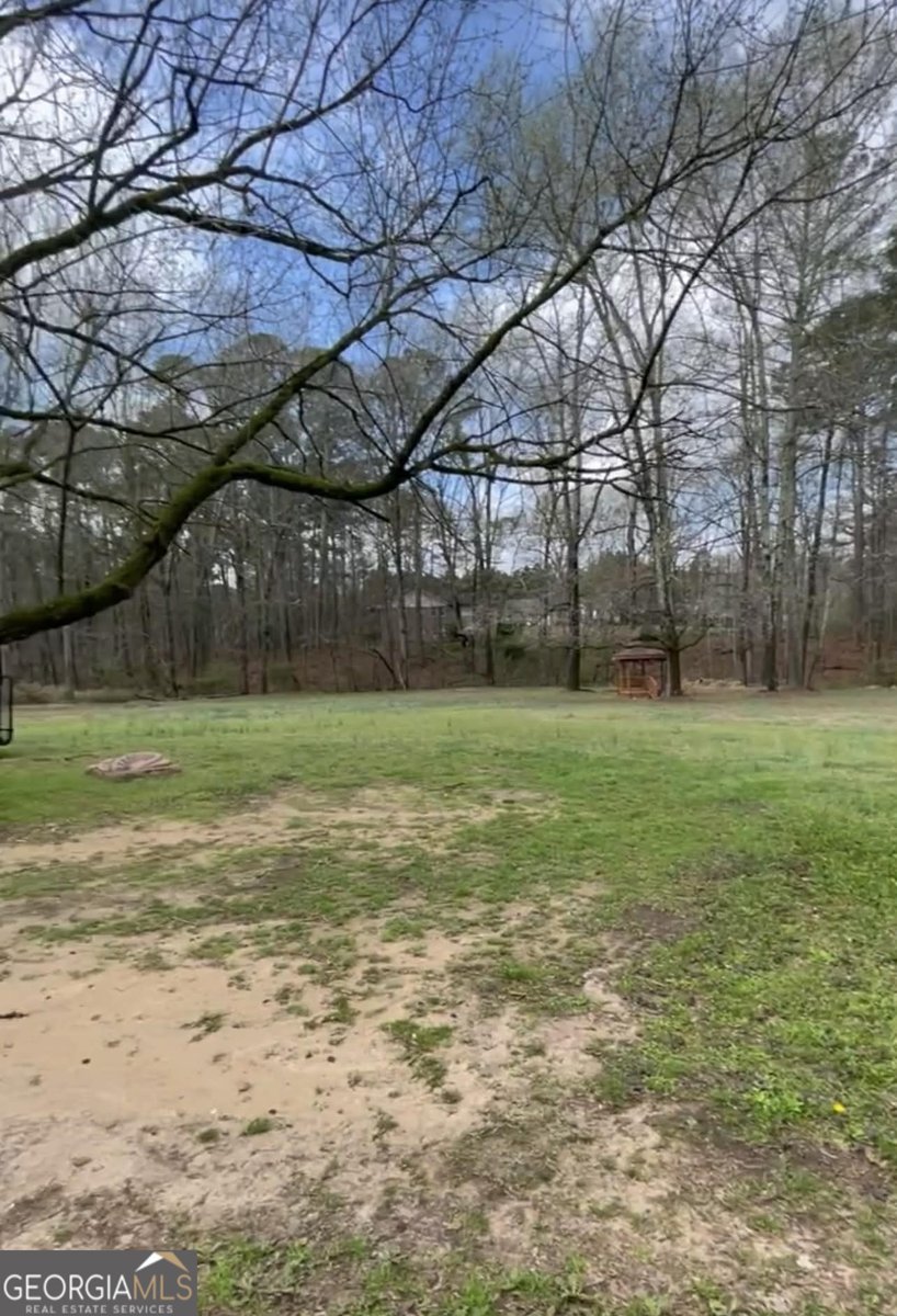 30 Price Drive Locust Grove - Photo 9