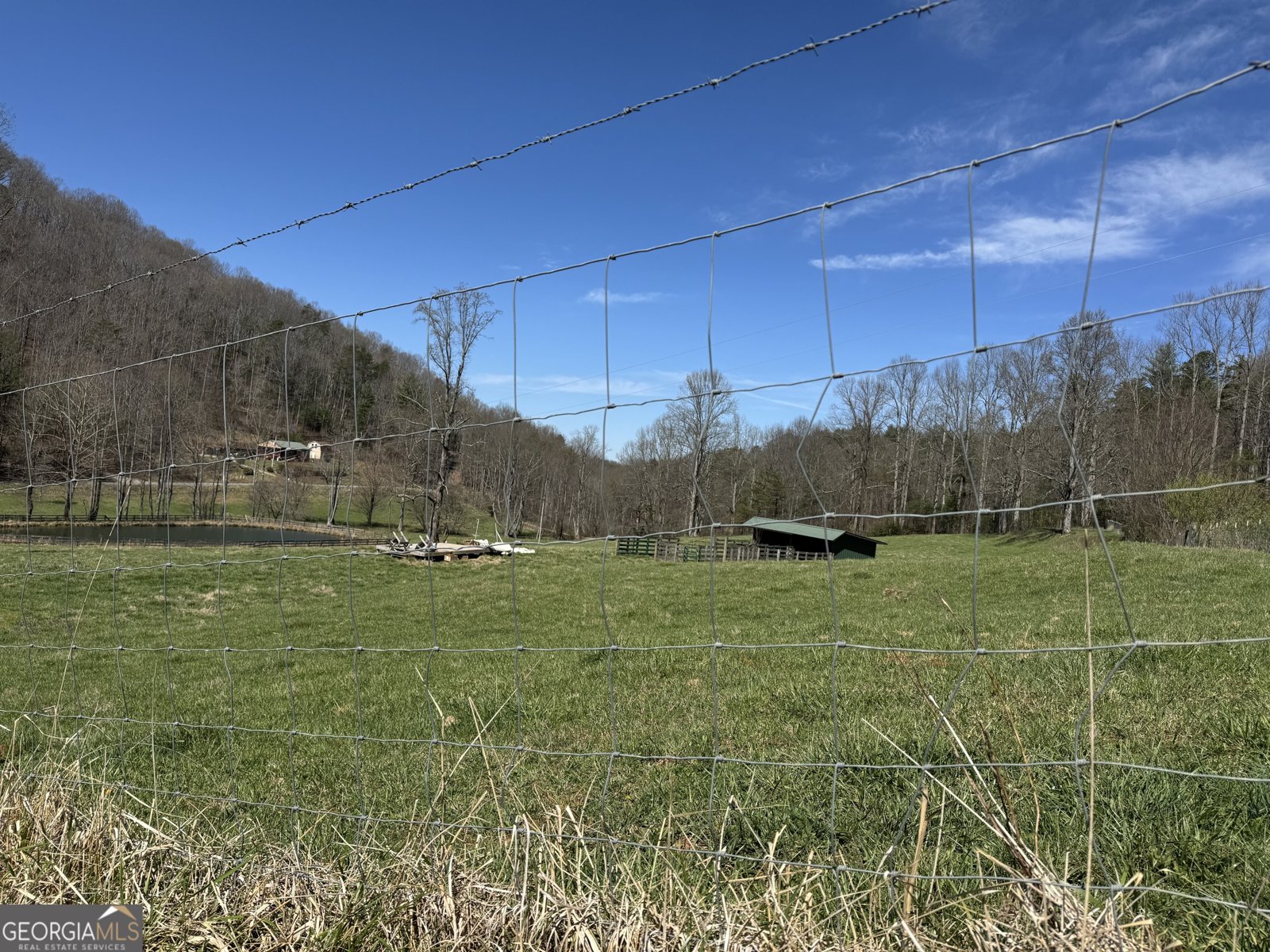 137 Blue Spruce Drive Blairsville - Photo 28