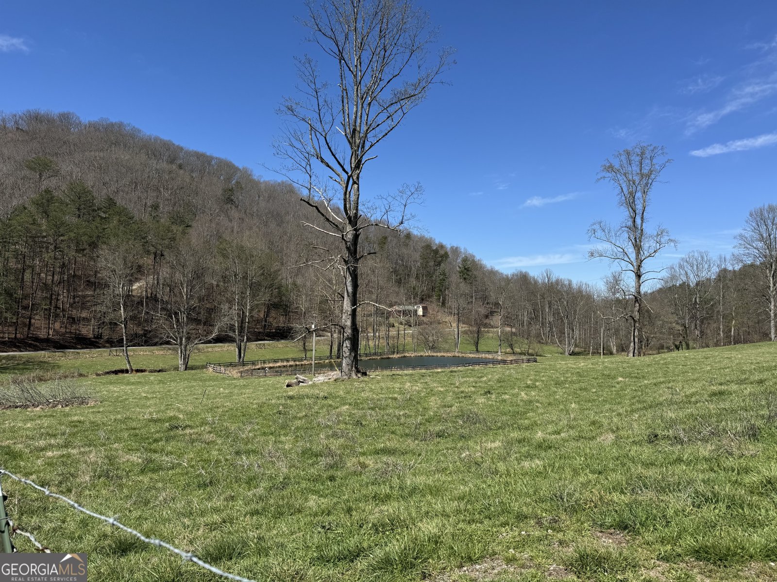 137 Blue Spruce Drive Blairsville - Photo 30