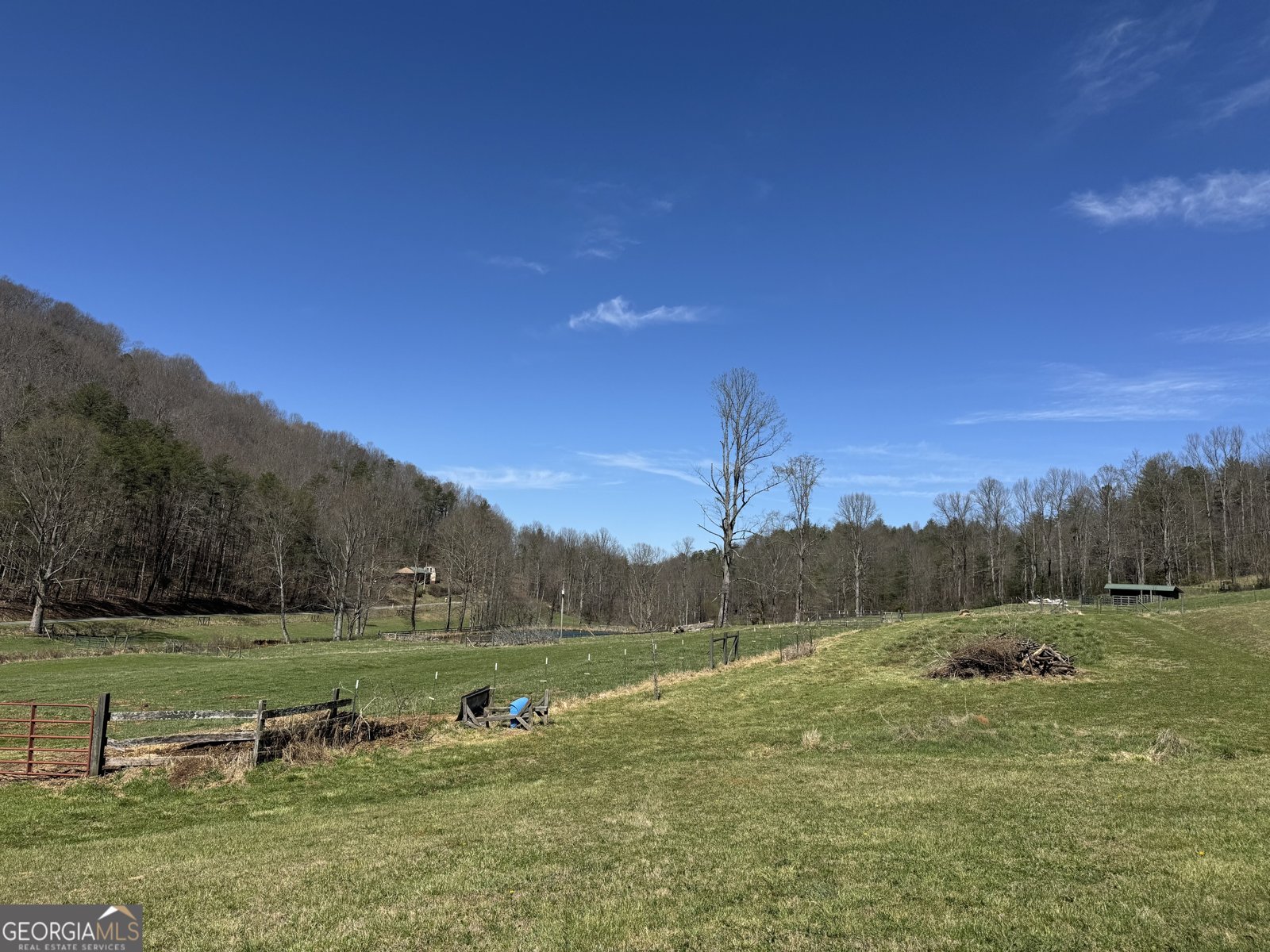 137 Blue Spruce Drive Blairsville - Photo 50