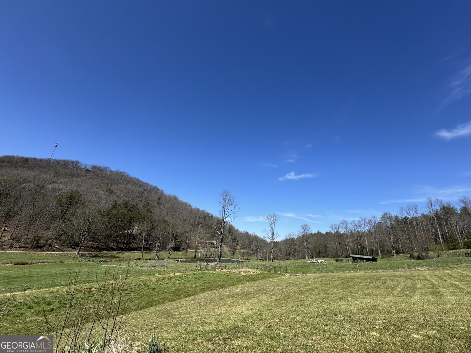 137 Blue Spruce Drive Blairsville - Photo 53