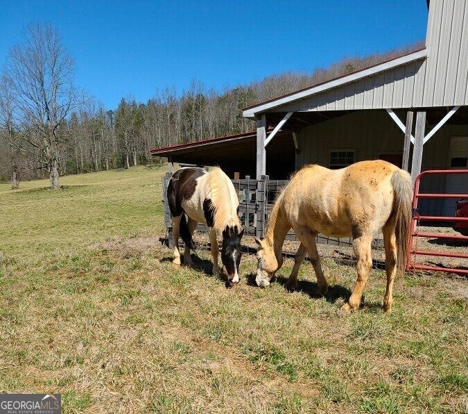 137 Blue Spruce Drive Blairsville - Photo 56