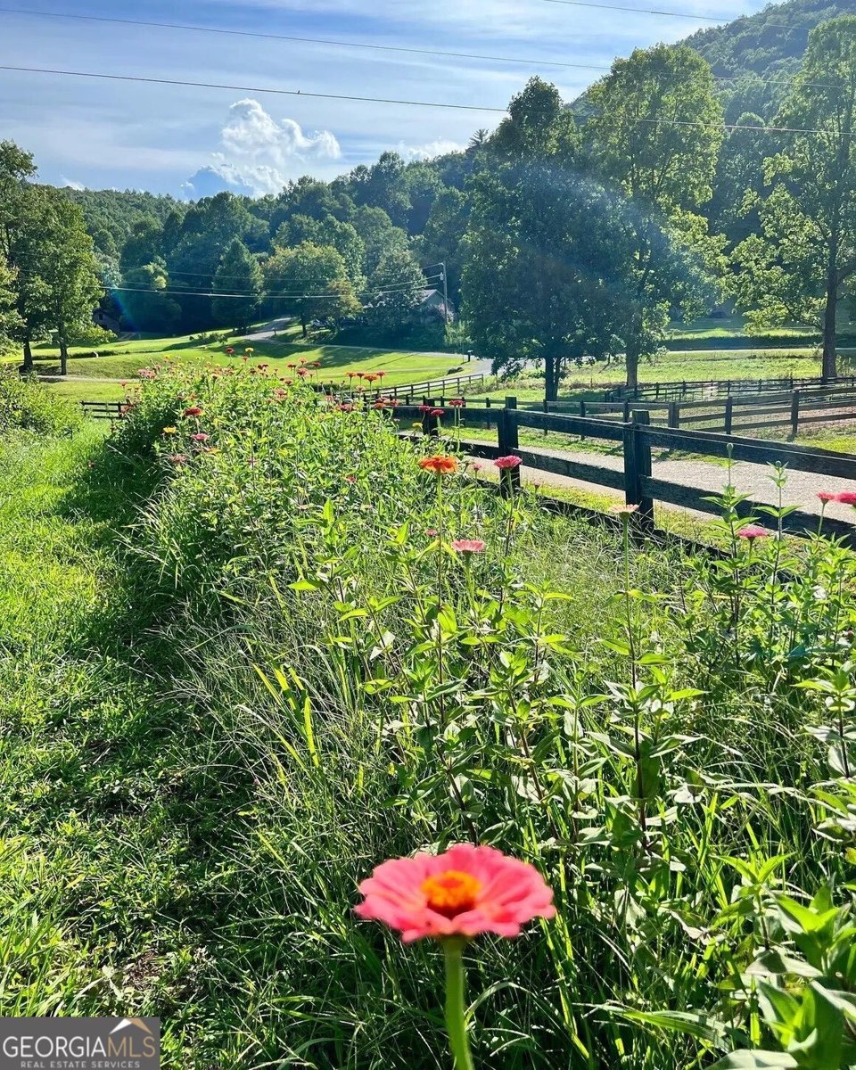 137 Blue Spruce Drive Blairsville - Photo 57
