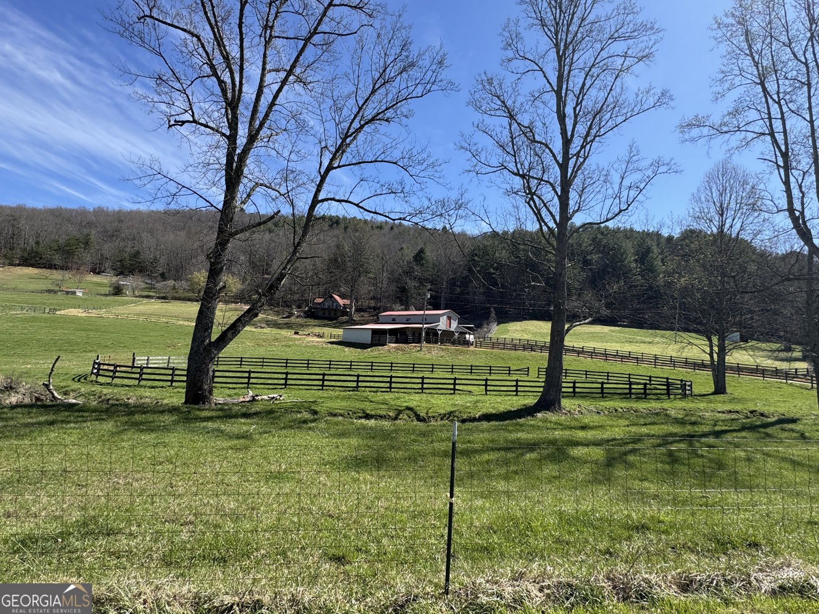 137 Blue Spruce Drive Blairsville - Photo 6