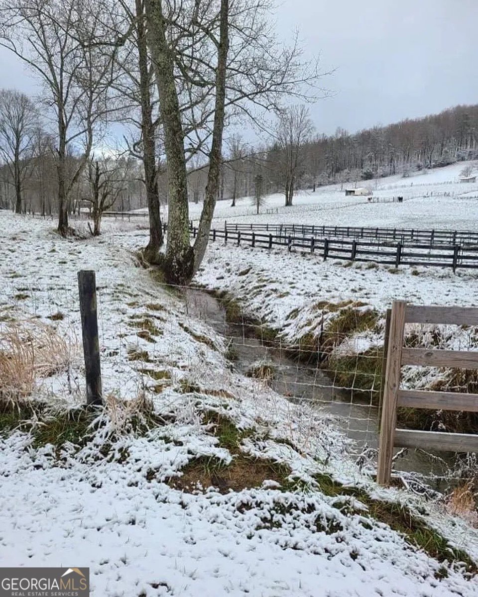 137 Blue Spruce Drive Blairsville - Photo 61