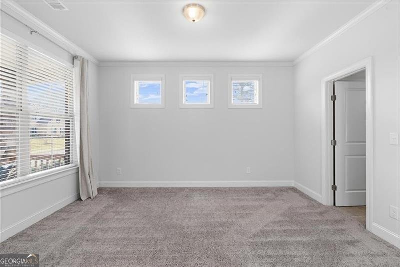 6480 Yellow Birch Street Cumming - Photo 25