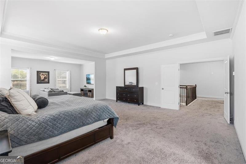 6480 Yellow Birch Street Cumming - Photo 29