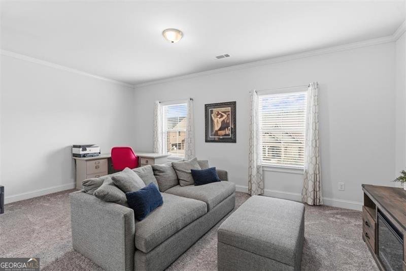 6480 Yellow Birch Street Cumming - Photo 30