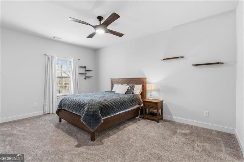 6480 Yellow Birch Street Cumming - Photo 44