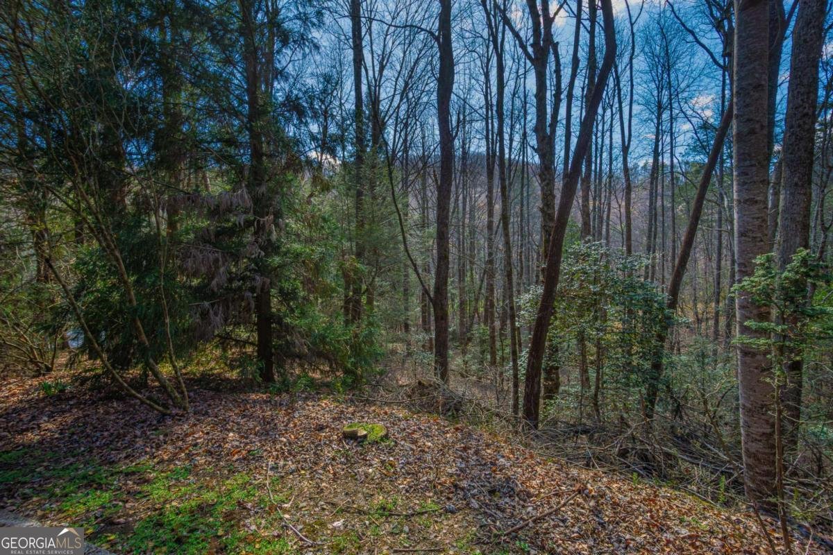 9 Blackbear Mountain Trail Suches - Photo 100