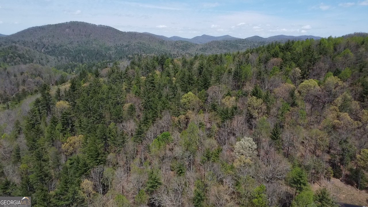 9 Blackbear Mountain Trail Suches - Photo 104