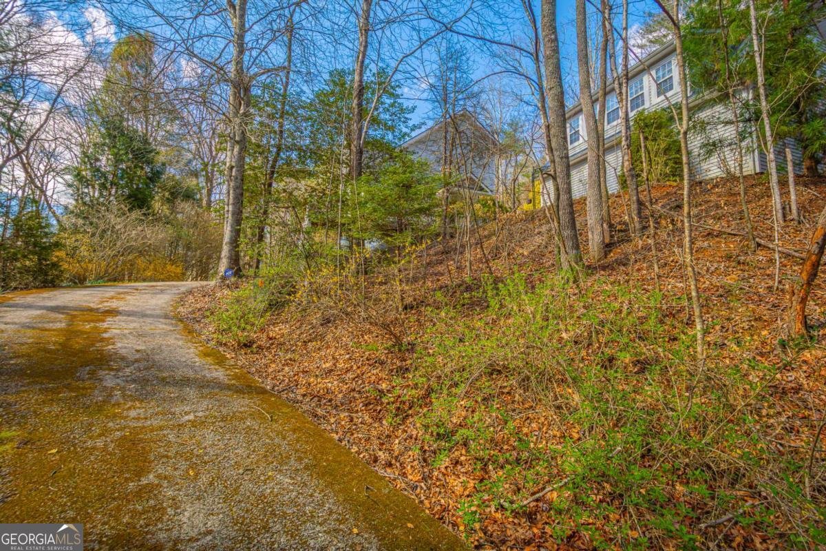 9 Blackbear Mountain Trail Suches - Photo 83