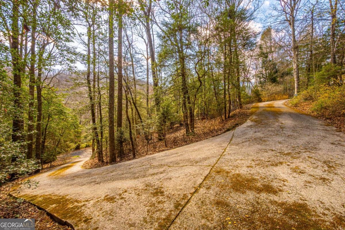 9 Blackbear Mountain Trail Suches - Photo 84