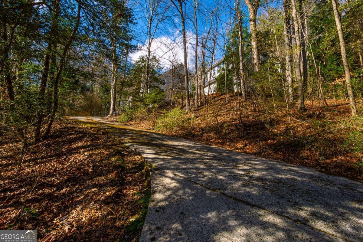 9 Blackbear Mountain Trail Suches - Photo 86