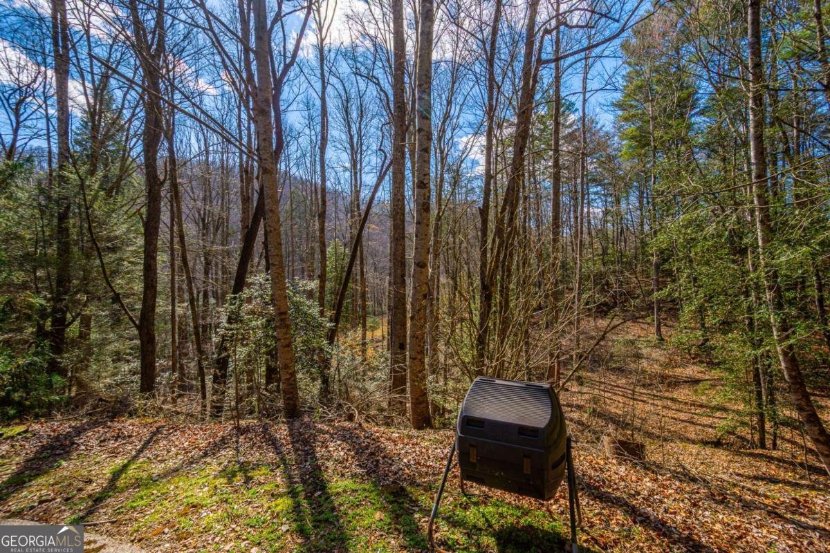 9 Blackbear Mountain Trail Suches - Photo 87