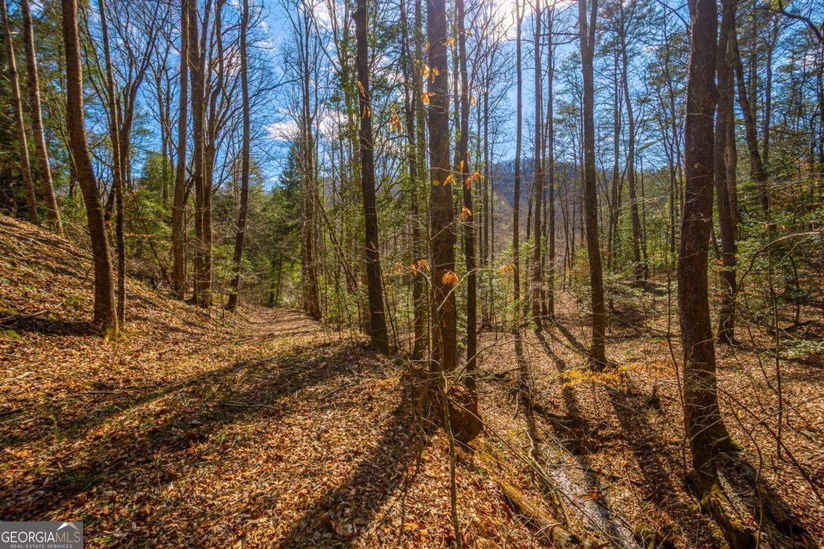 9 Blackbear Mountain Trail Suches - Photo 89