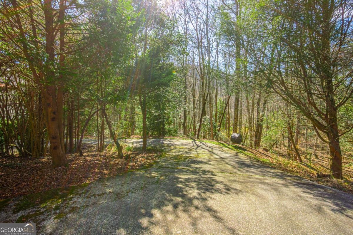 9 Blackbear Mountain Trail Suches - Photo 97