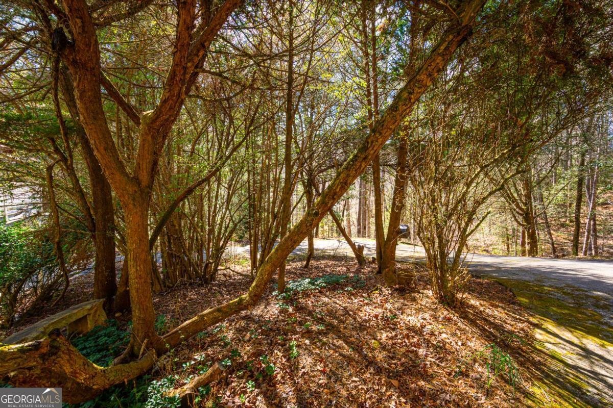 9 Blackbear Mountain Trail Suches - Photo 98