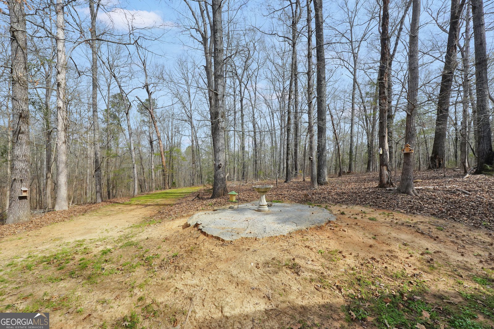 161 A Strickland Pasture Road Jackson - Photo 9