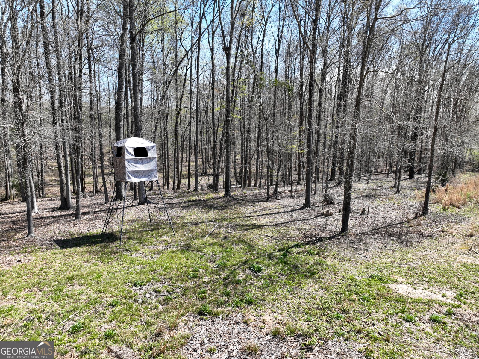 3873 Cove Road Woodbury - Photo 71