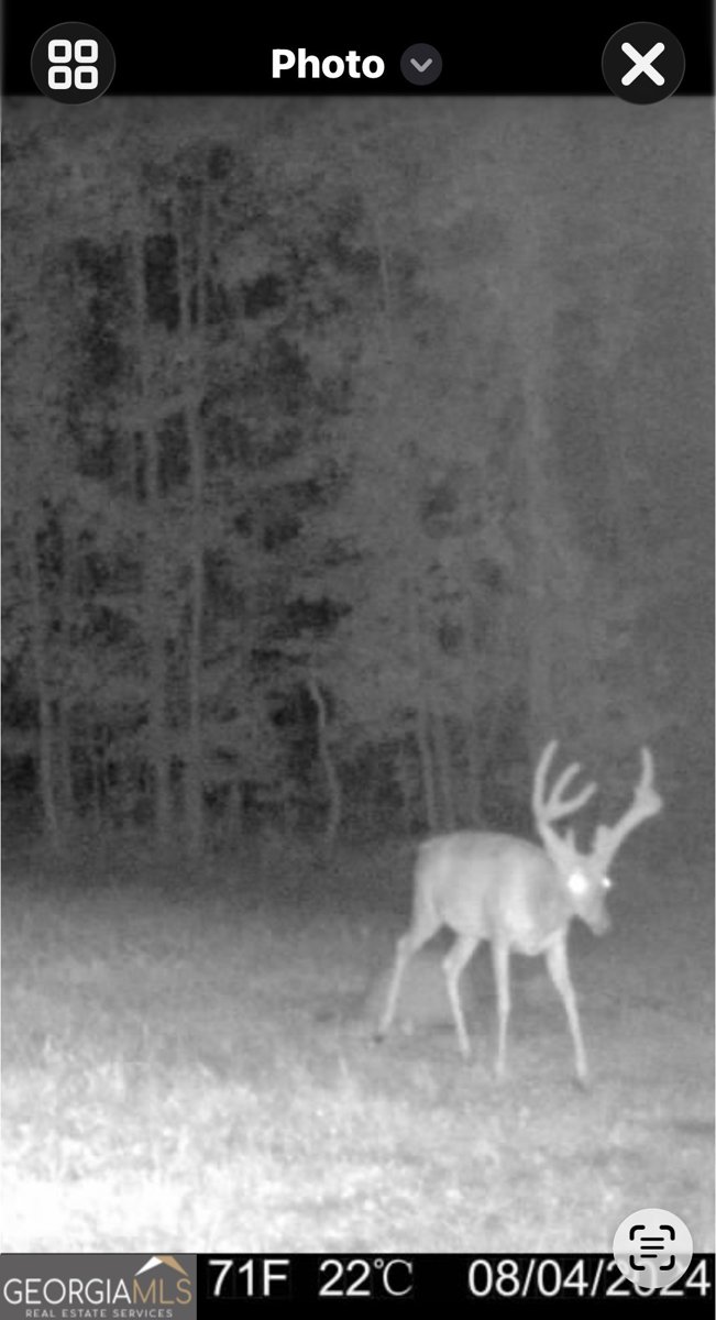 3873 Cove Road Woodbury - Photo 74