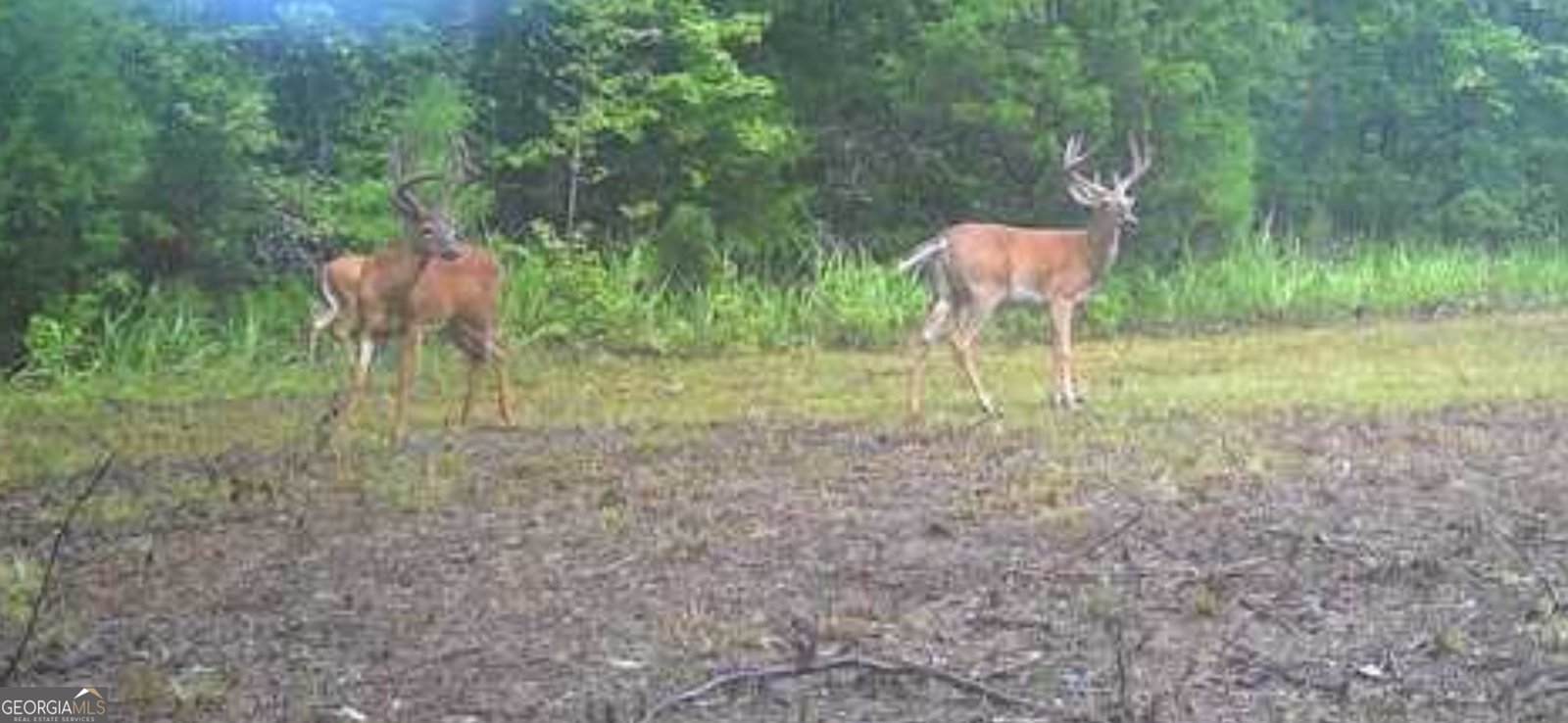 3873 Cove Road Woodbury - Photo 75